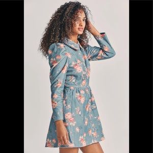 NWT Love Fancy Shack Breyers Dress US10